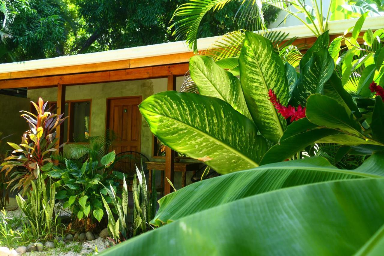 Cabinas Playa Surf Hostel Playa Santa Teresa  Exterior photo