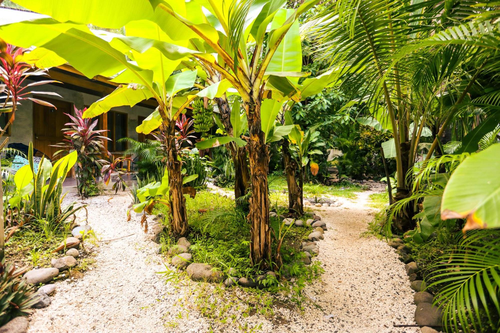 Cabinas Playa Surf Hostel Playa Santa Teresa  Exterior photo