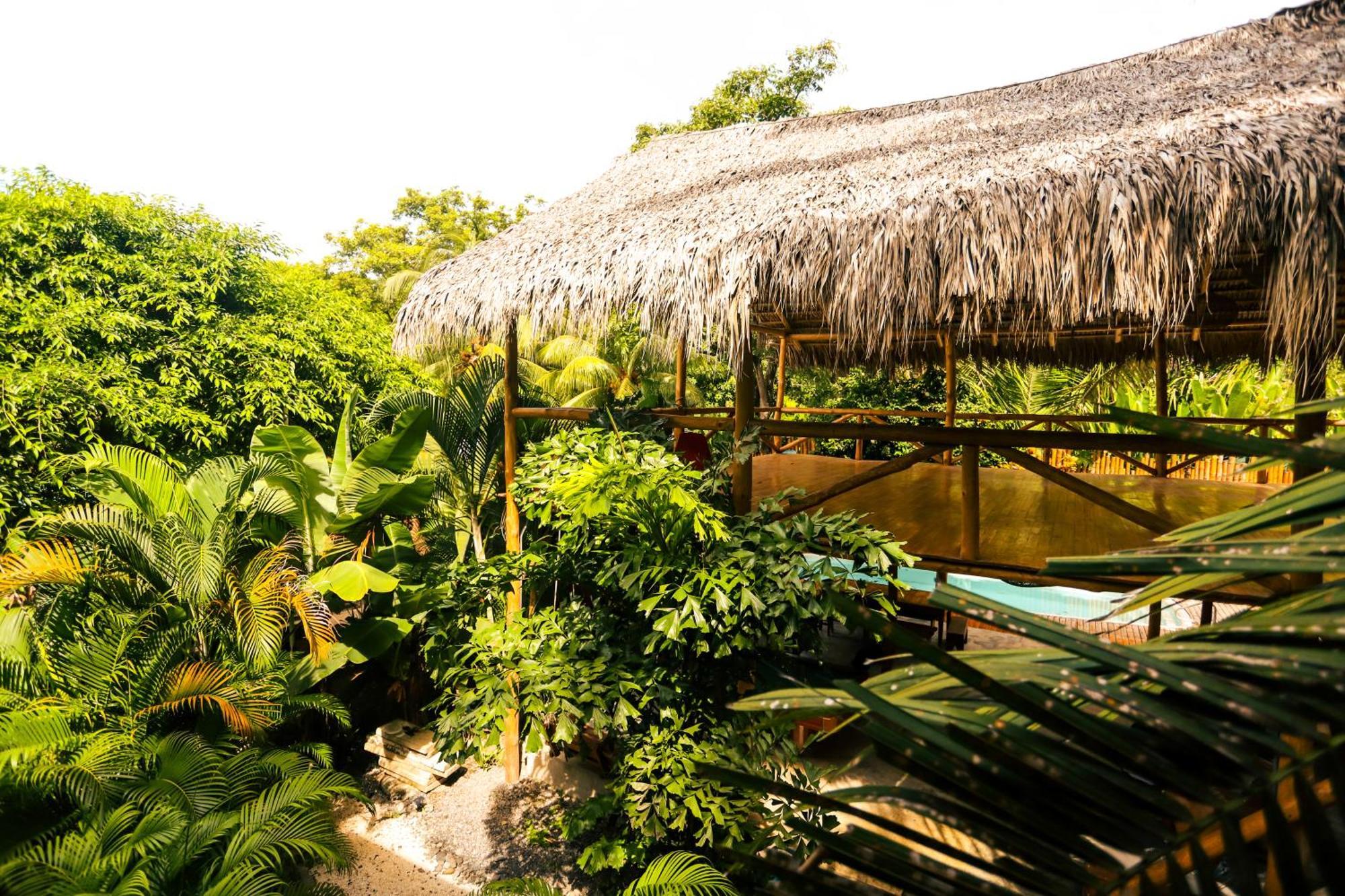 Cabinas Playa Surf Hostel Playa Santa Teresa  Exterior photo