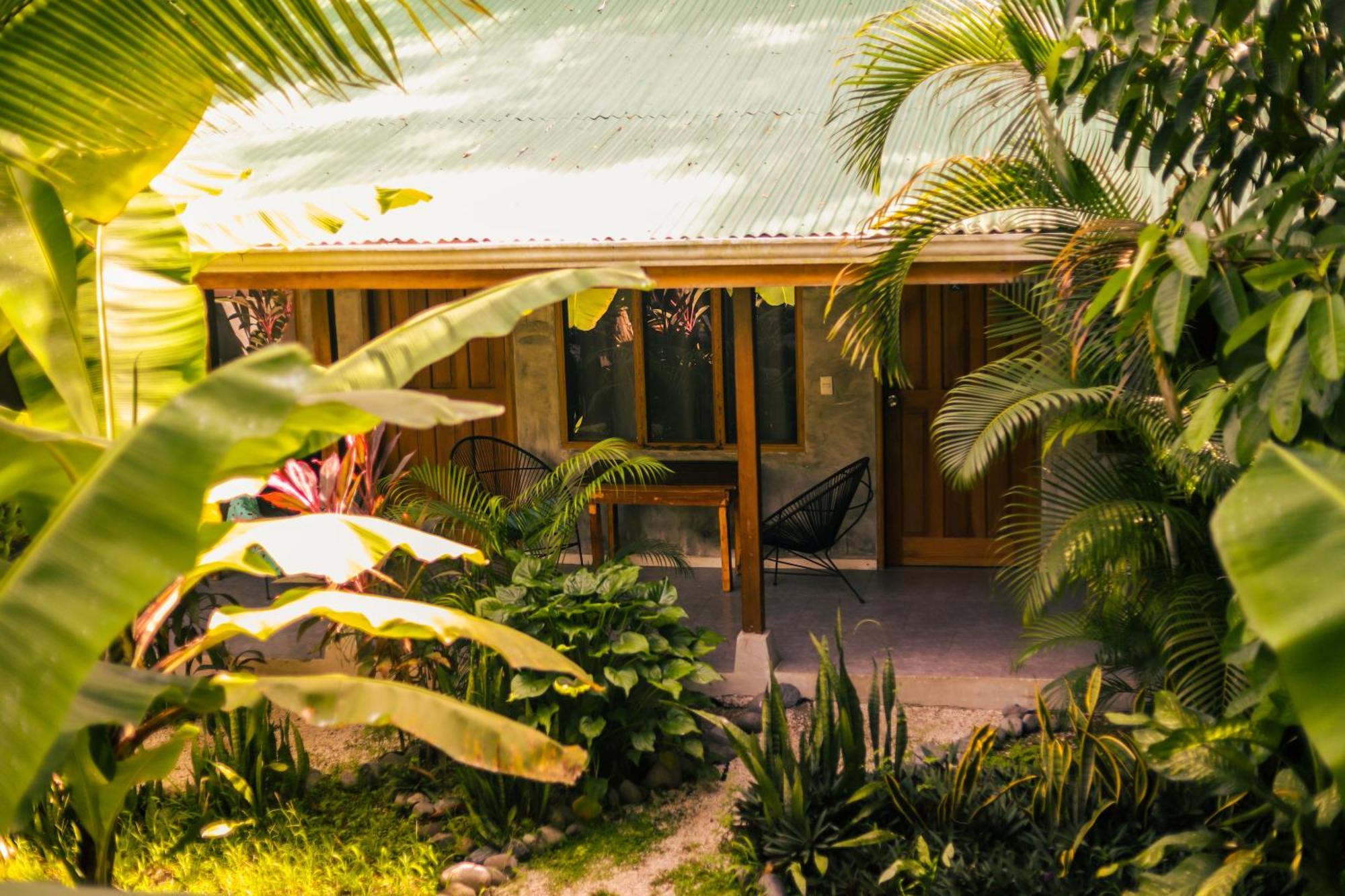 Cabinas Playa Surf Hostel Playa Santa Teresa  Exterior photo
