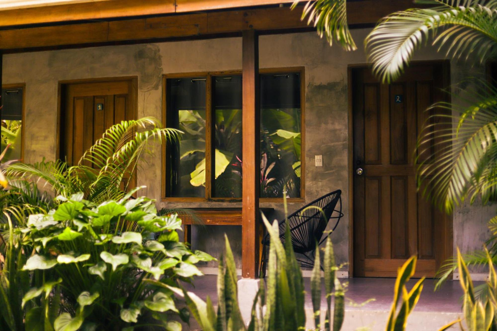 Cabinas Playa Surf Hostel Playa Santa Teresa  Exterior photo