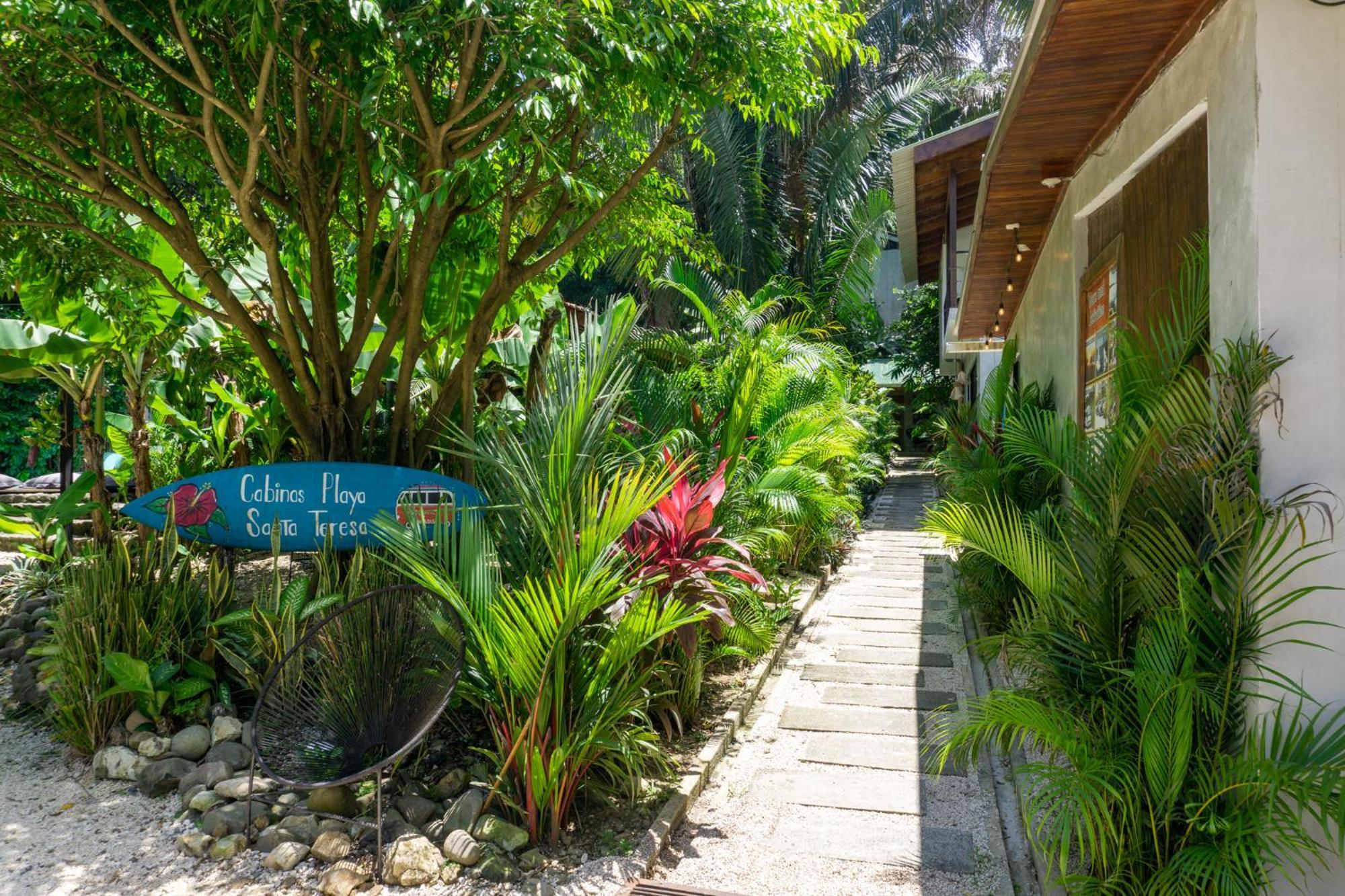 Cabinas Playa Surf Hostel Playa Santa Teresa  Exterior photo